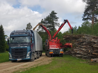 Production and sales of Wood chips in Estonia