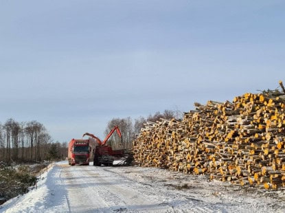 Production and Sales of High-quality wood chips