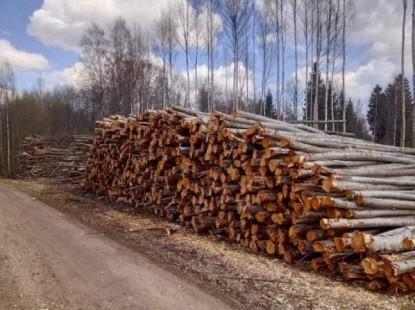 Hakkepuidu ost - Virnastatud võsa - Timberstock PÕ