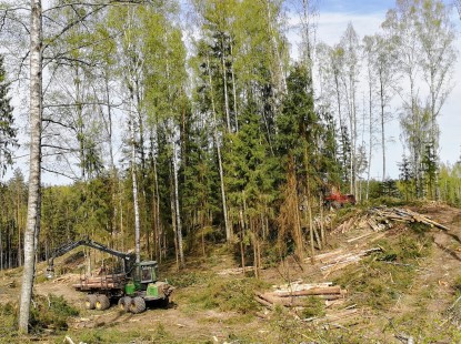 Raieõiguse ost - Timberstock OÜ