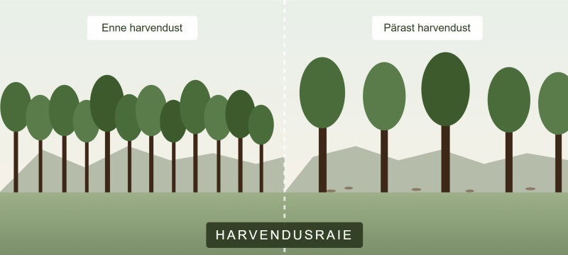 harvendusraie.jpg