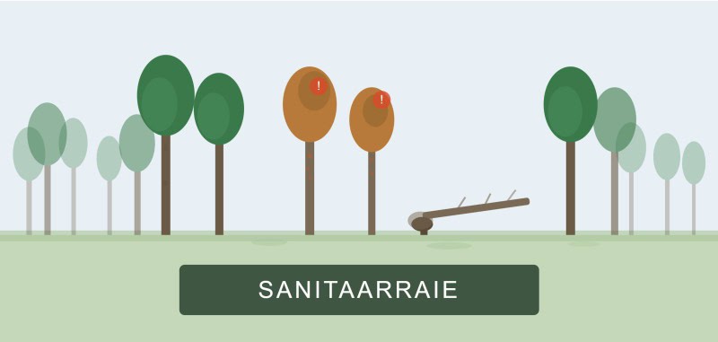 sanitaarraie.jpg